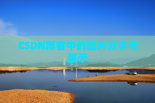 CSDN博客中的图片分享与展示